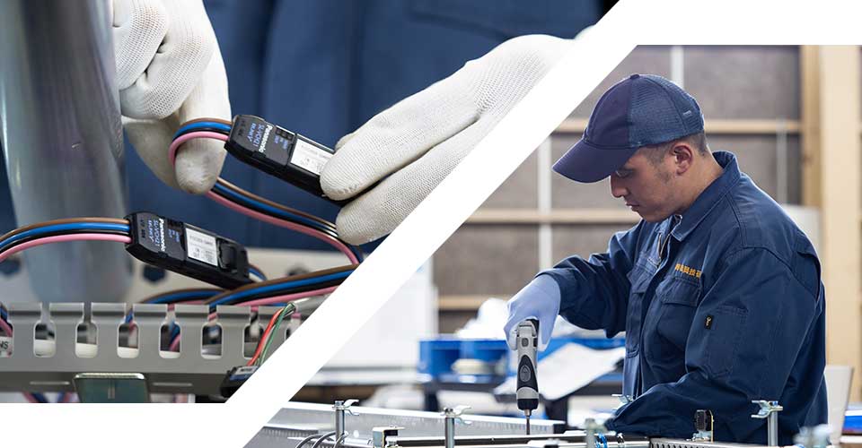 RENEWAL / MAINTENANCE